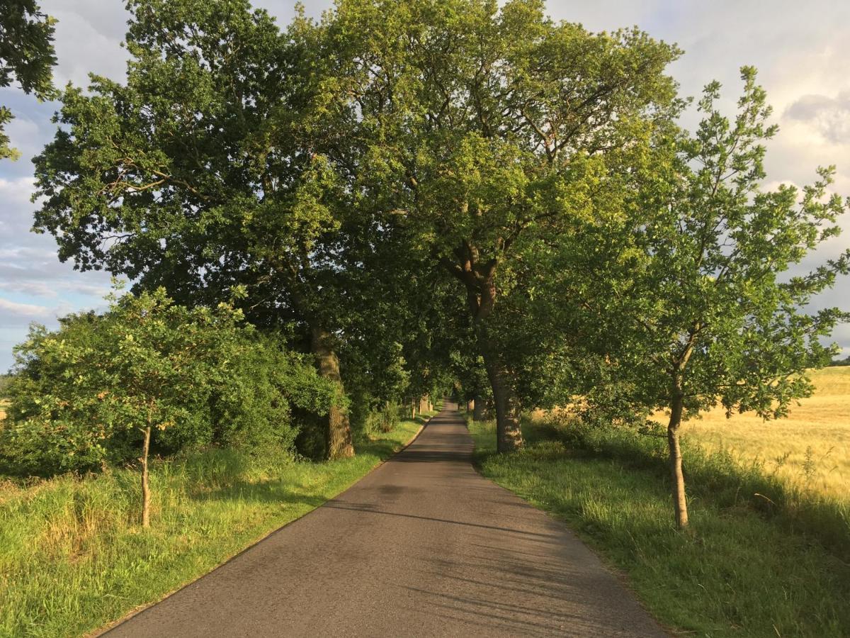 Dat Witte Hus Moritzdorf Ruegen Ferienwohnungen - Ruhige Lage Bagian luar foto